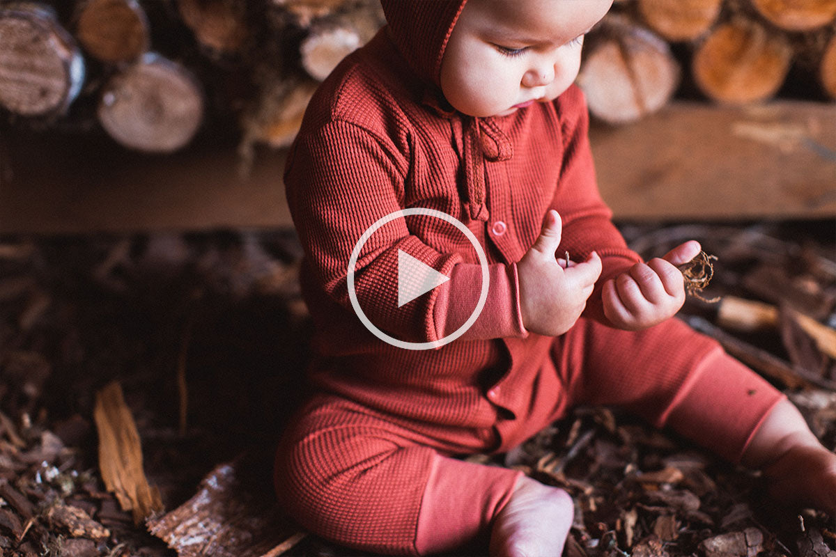 Introduce the Noble Sleeper