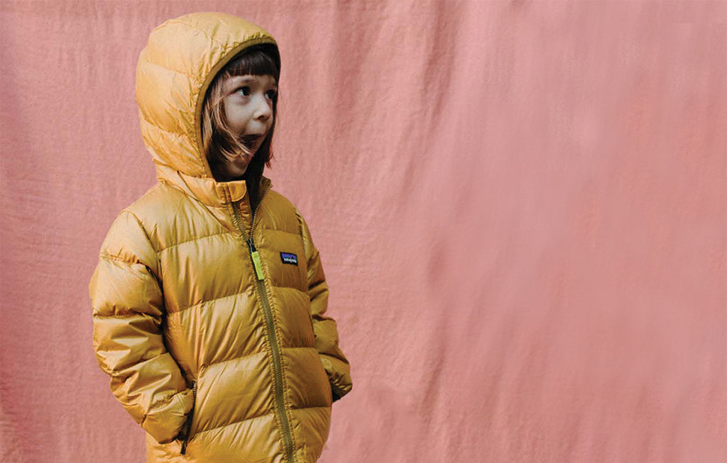 Patagonia Jacket Guide 2020