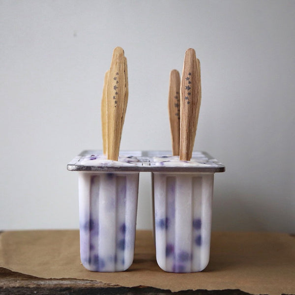 Ginger Infused Coconut Blueberry Pops