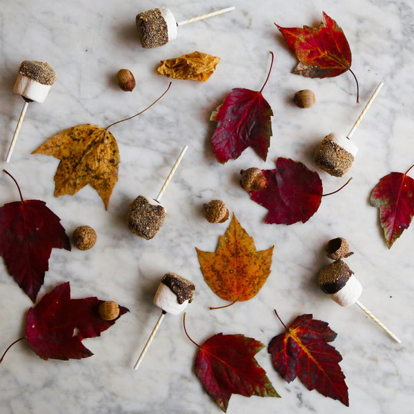 Pumpkin Spiced S’mores Pops