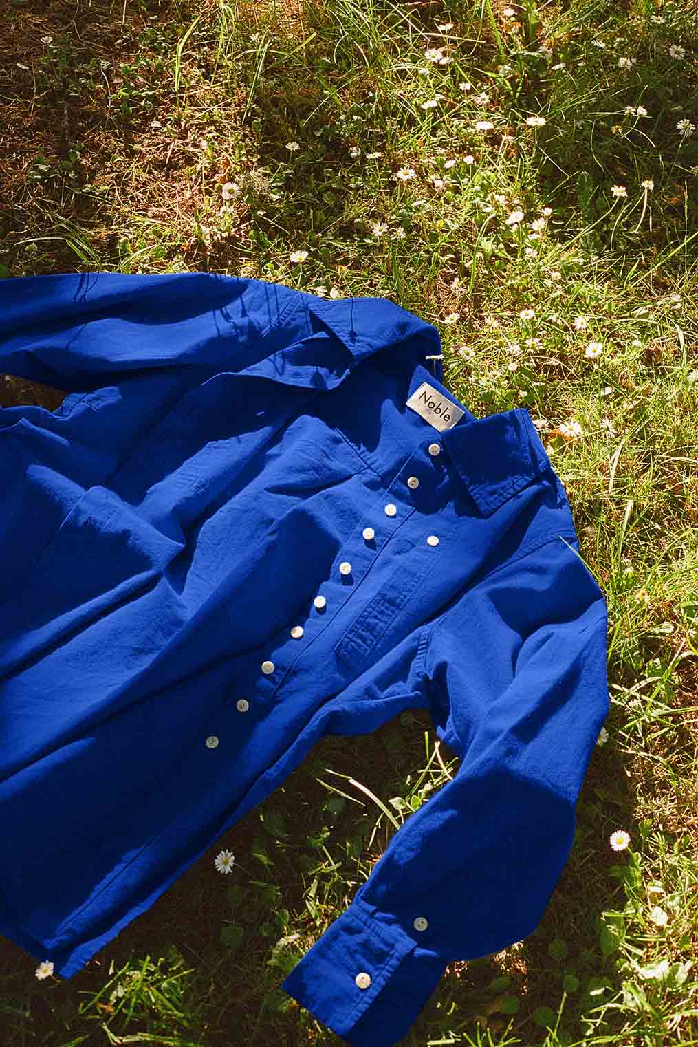 Collared Shirt